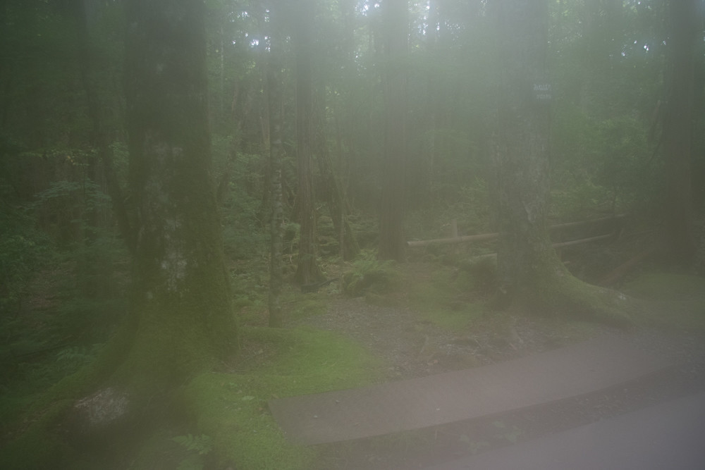 f:id:tboffice:20210626144135j:plain