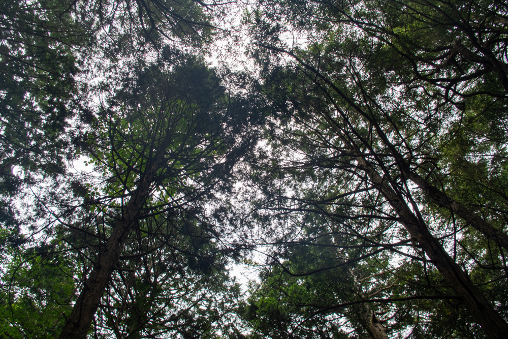 f:id:tboffice:20210626150110j:plain