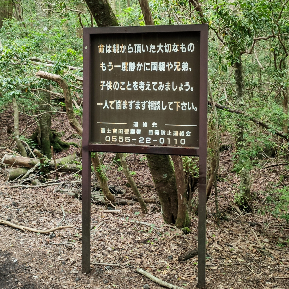 f:id:tboffice:20210626150147j:plain