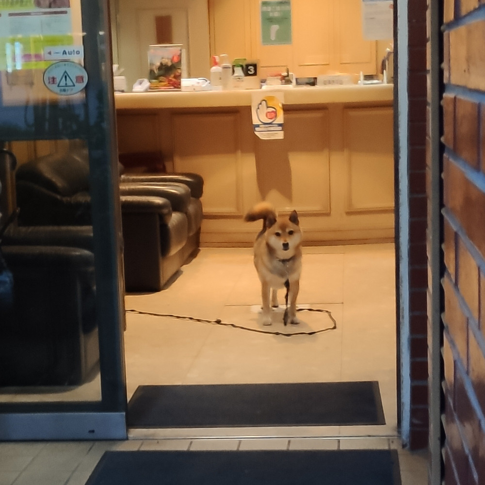 f:id:tboffice:20210703192736j:plain