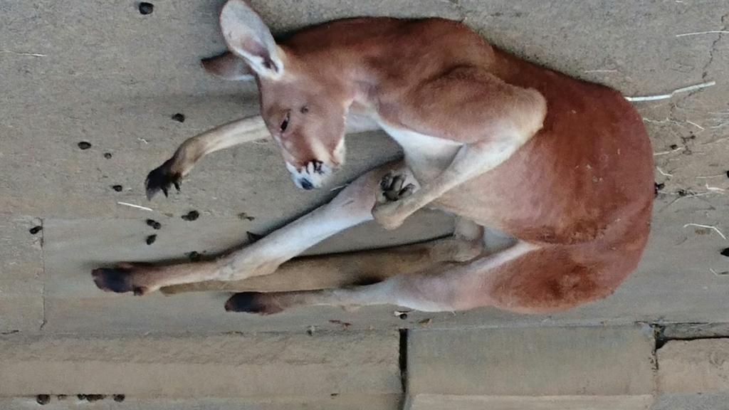 f:id:tbpg:20170115224301j:plain f:id:tbpg:20170115224301j:plain