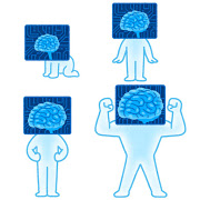 f:id:tbpg:20170214234153j:plain f:id:tbpg:20170214234153j:plain