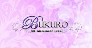 f:id:tbrazil:20210201203931j:plain