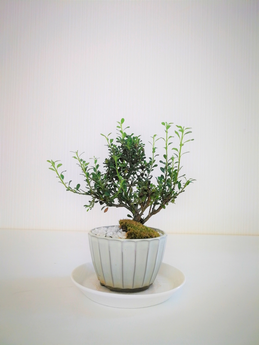 f:id:tbtech:20190719145549j:plain f:id:tbtech:20190719145549j:plain