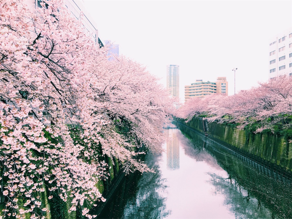 f:id:tbtnb18:20200404184116j:image f:id:tbtnb18:20200404184116j:image