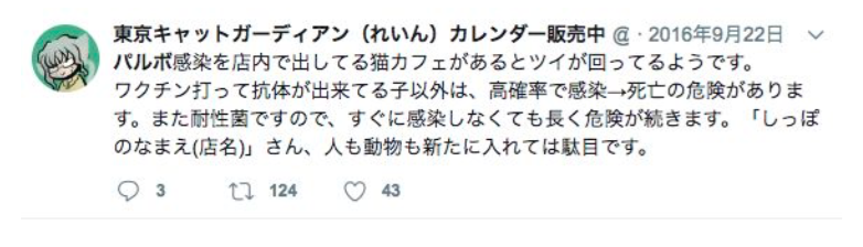 f:id:tcgneko:20190216160534p:plain f:id:tcgneko:20190216160534p:plain