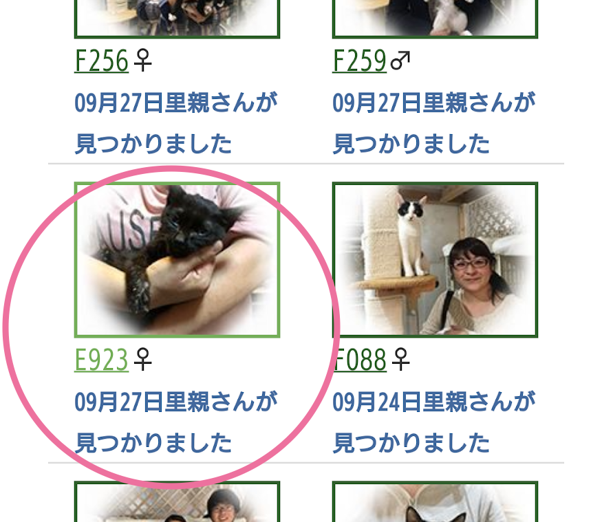 f:id:tcgneko:20190316182222p:plain f:id:tcgneko:20190316182222p:plain