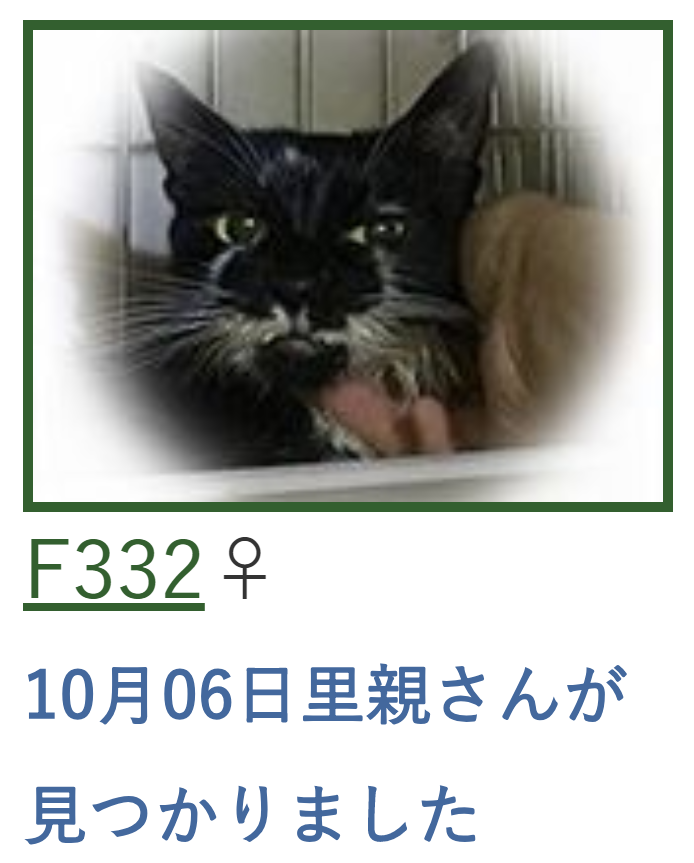 f:id:tcgneko:20190526234802p:plain f:id:tcgneko:20190526234802p:plain