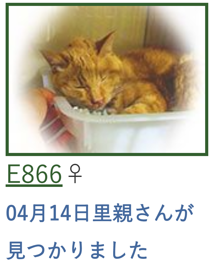 f:id:tcgneko:20190526234932p:plain f:id:tcgneko:20190526234932p:plain