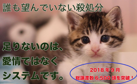 f:id:tcgneko:20190602135845p:plain f:id:tcgneko:20190602135845p:plain
