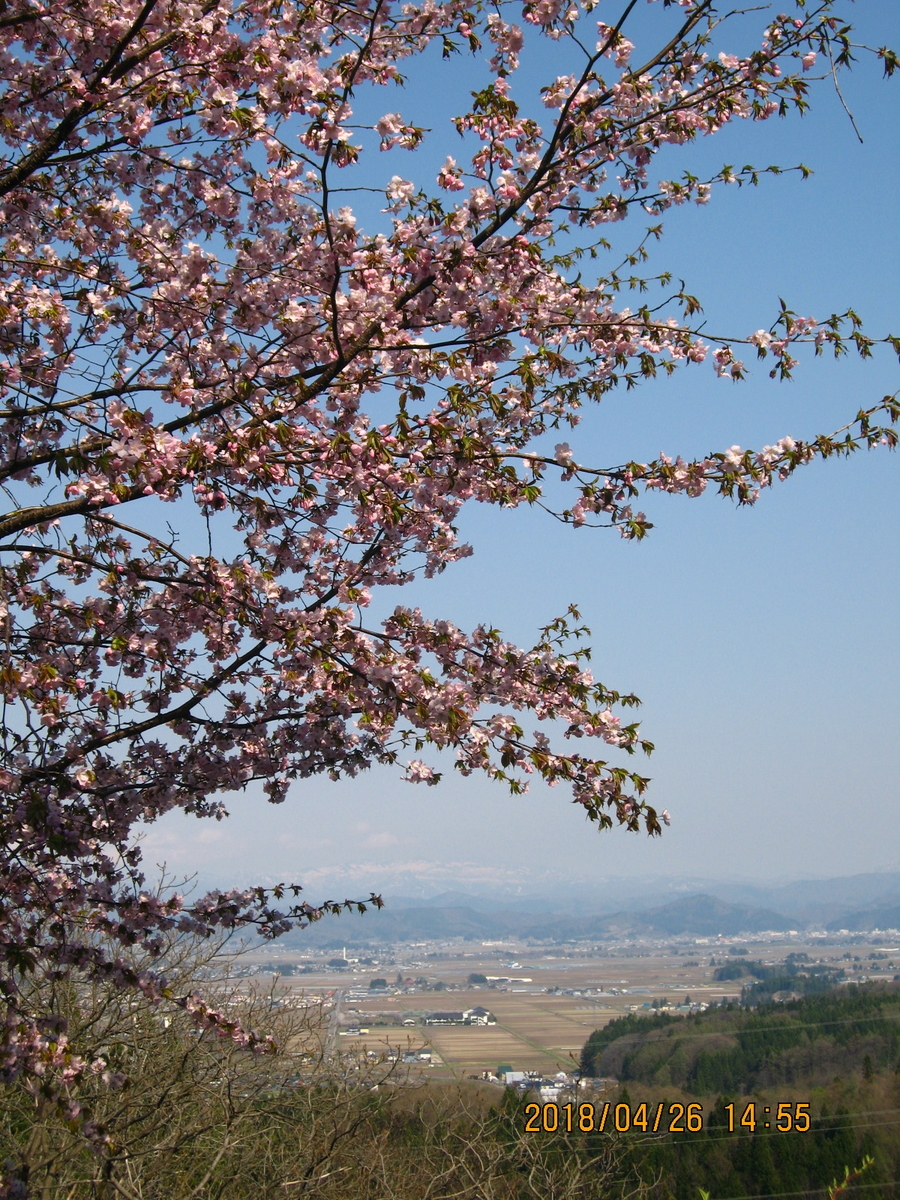 f:id:tchibineko:20180426145516j:plain f:id:tchibineko:20180426145516j:plain