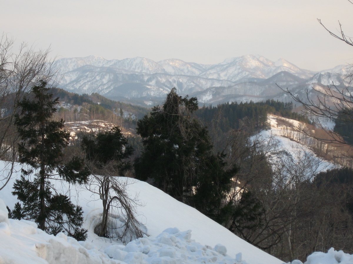 f:id:tchibineko:20190329225722j:plain f:id:tchibineko:20190329225722j:plain