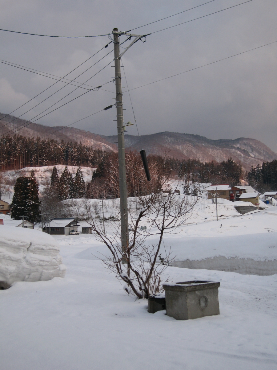 f:id:tchibineko:20190403225945j:plain f:id:tchibineko:20190403225945j:plain