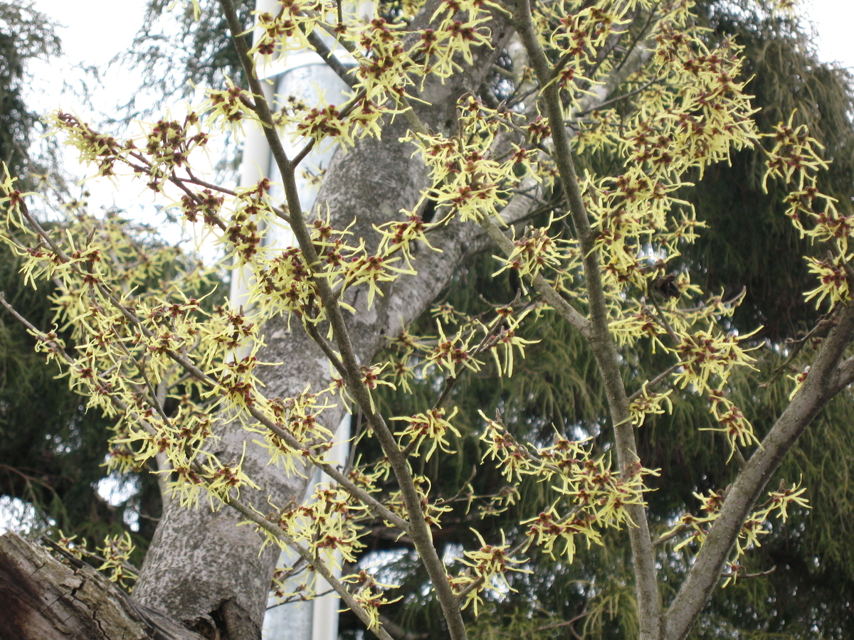 f:id:tchibineko:20190412232430j:plain f:id:tchibineko:20190412232430j:plain