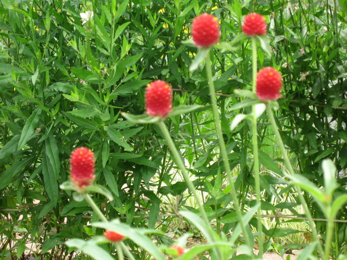 f:id:tchibineko:20191024220826j:plain f:id:tchibineko:20191024220826j:plain