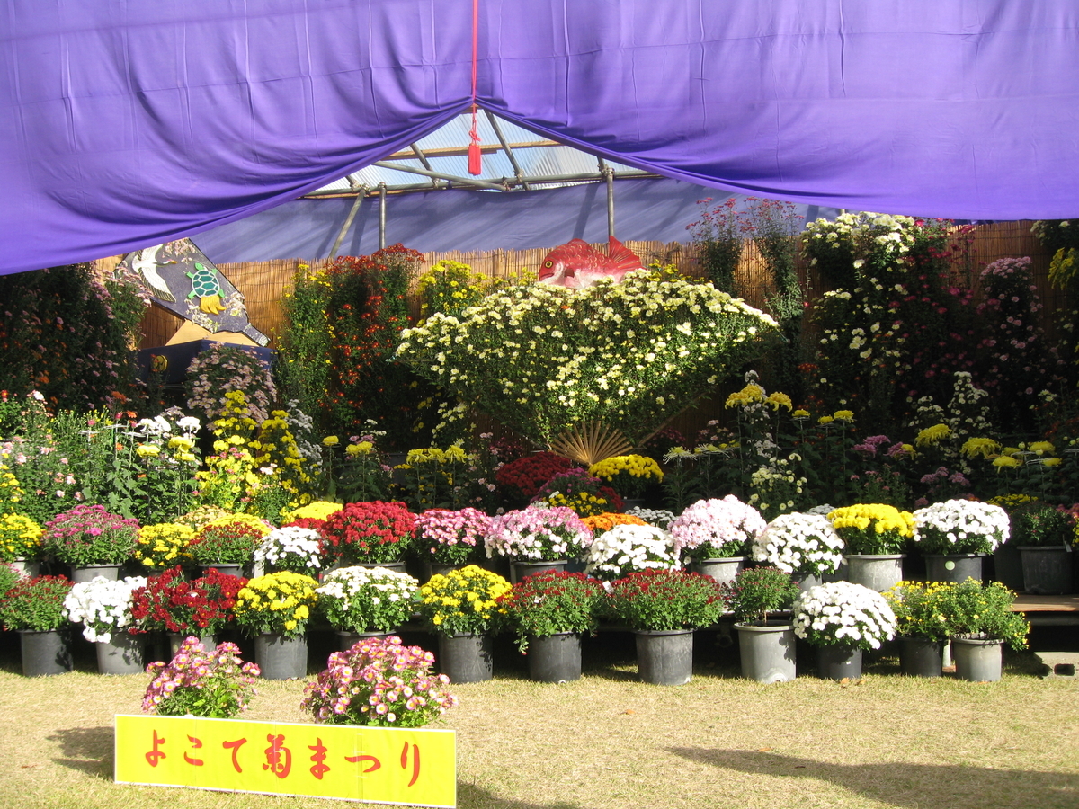 f:id:tchibineko:20191118132855j:plain