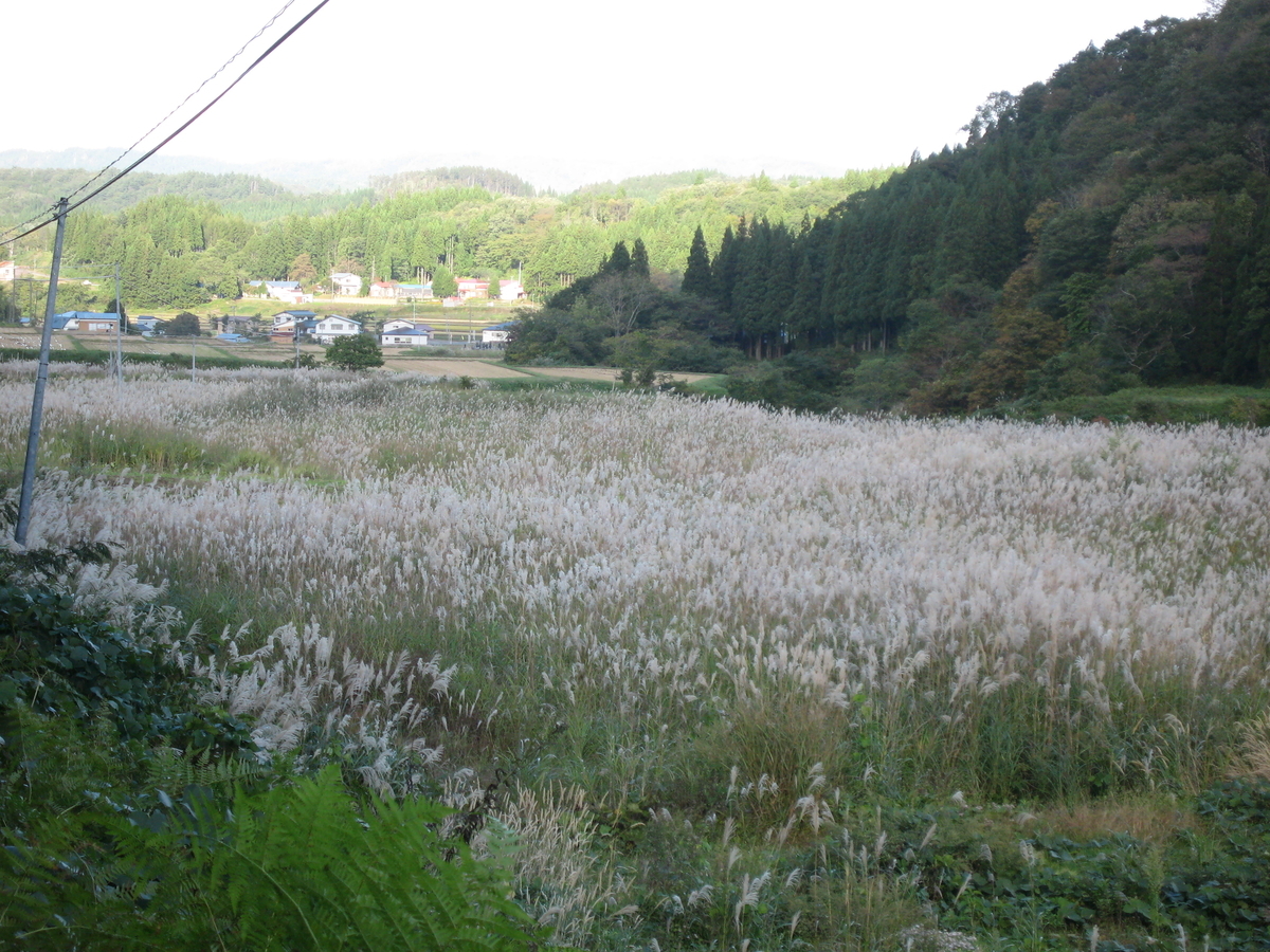 f:id:tchibineko:20191123225446j:plain