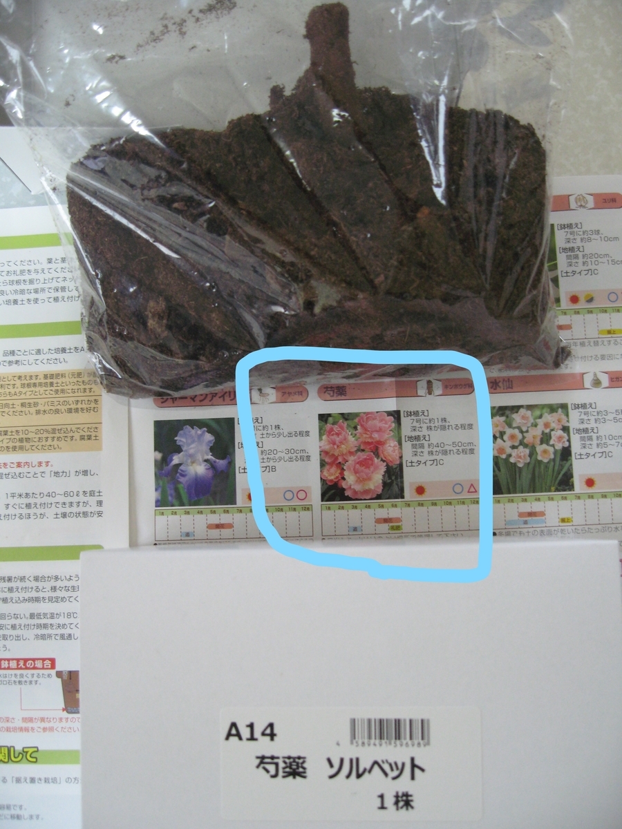 f:id:tchibineko:20191125134303j:plain