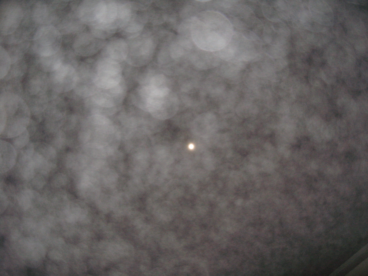 f:id:tchibineko:20191206221440j:plain