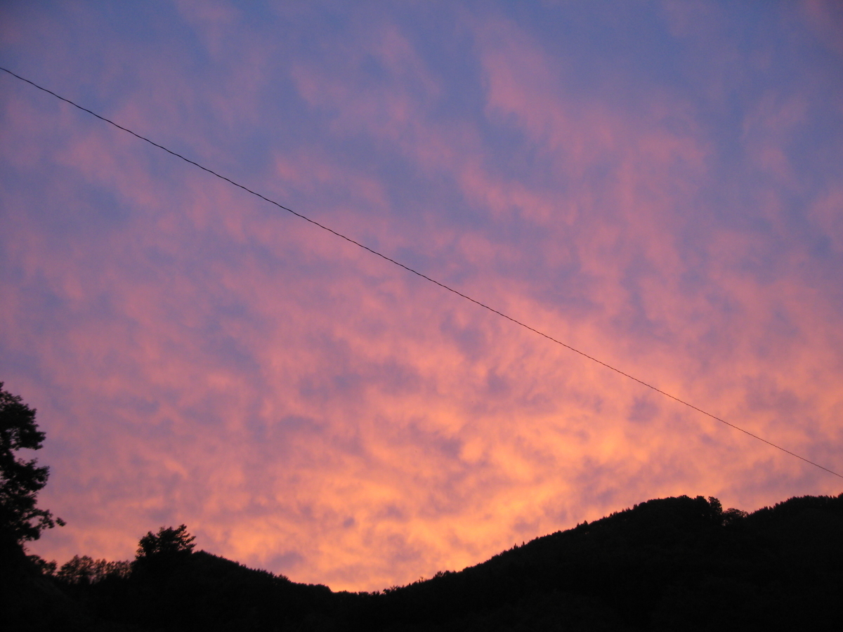 f:id:tchibineko:20191206221537j:plain