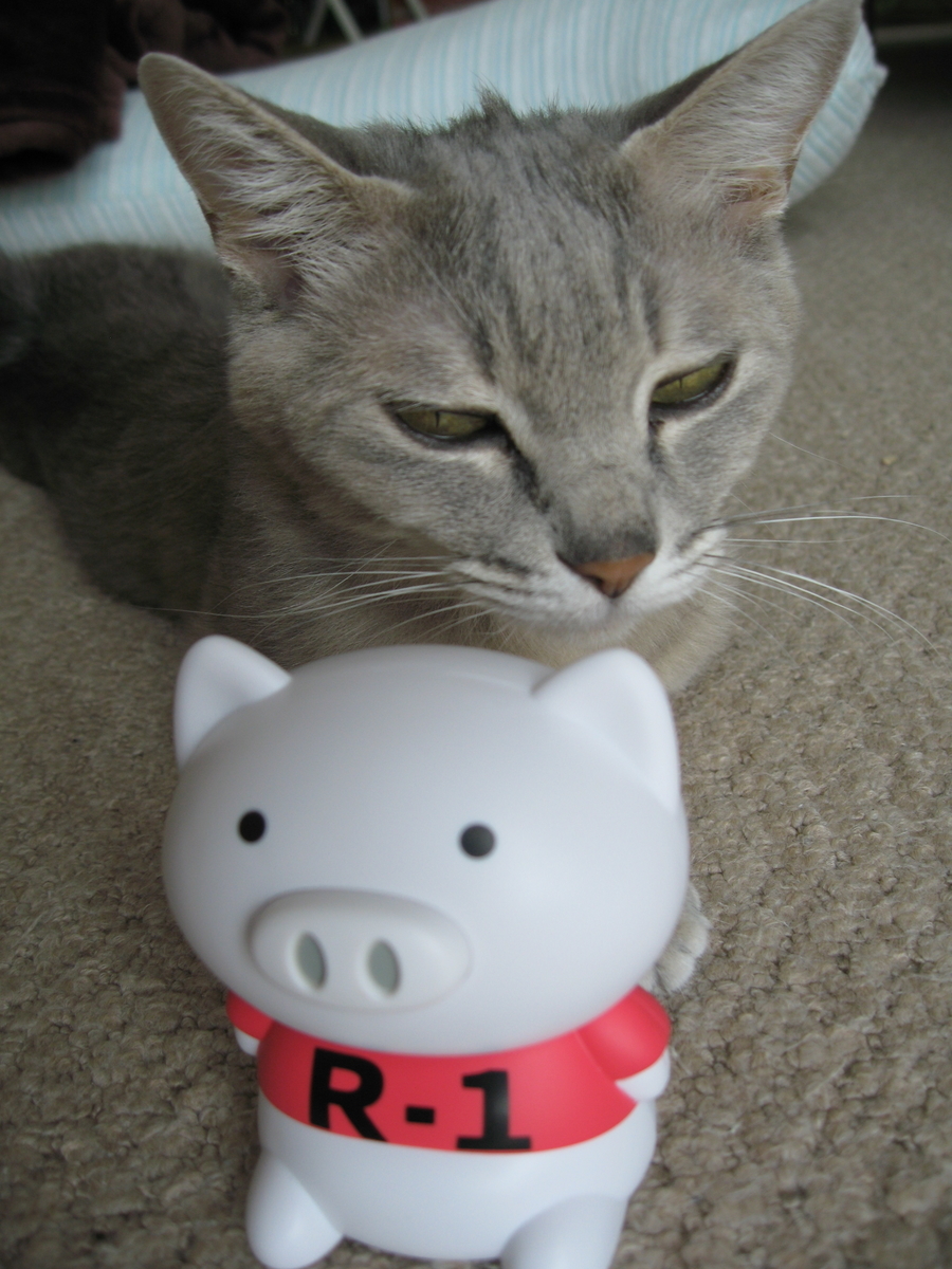 f:id:tchibineko:20191206221720j:plain