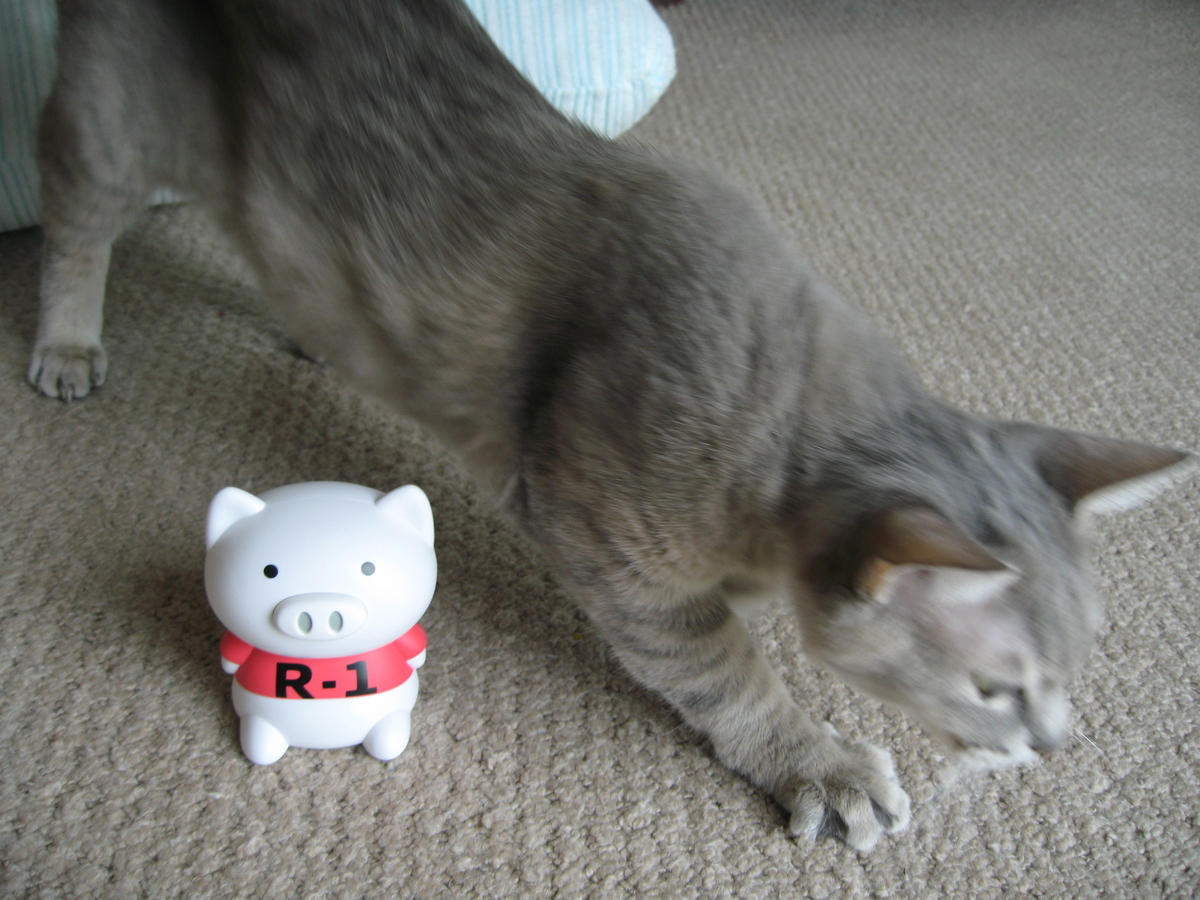 f:id:tchibineko:20191206221749j:plain