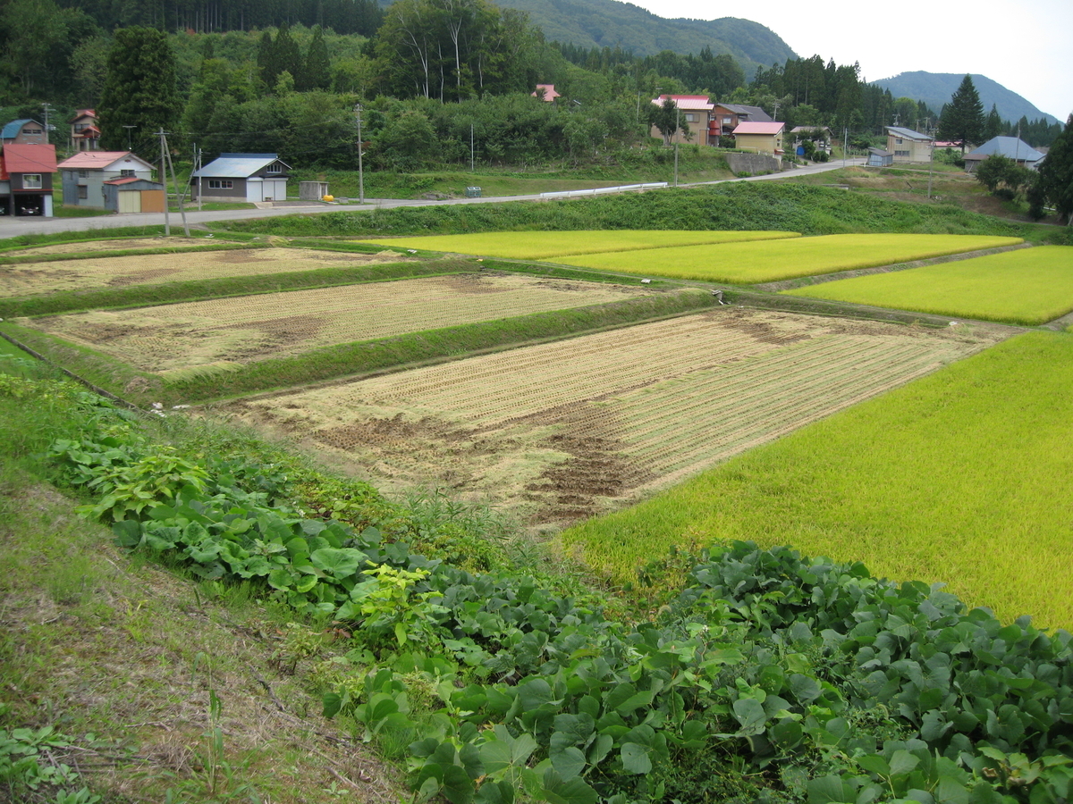 f:id:tchibineko:20191207211311j:plain f:id:tchibineko:20191207211311j:plain