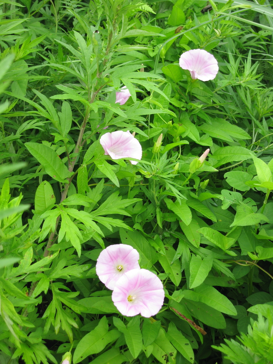 f:id:tchibineko:20191222163048j:plain f:id:tchibineko:20191222163048j:plain