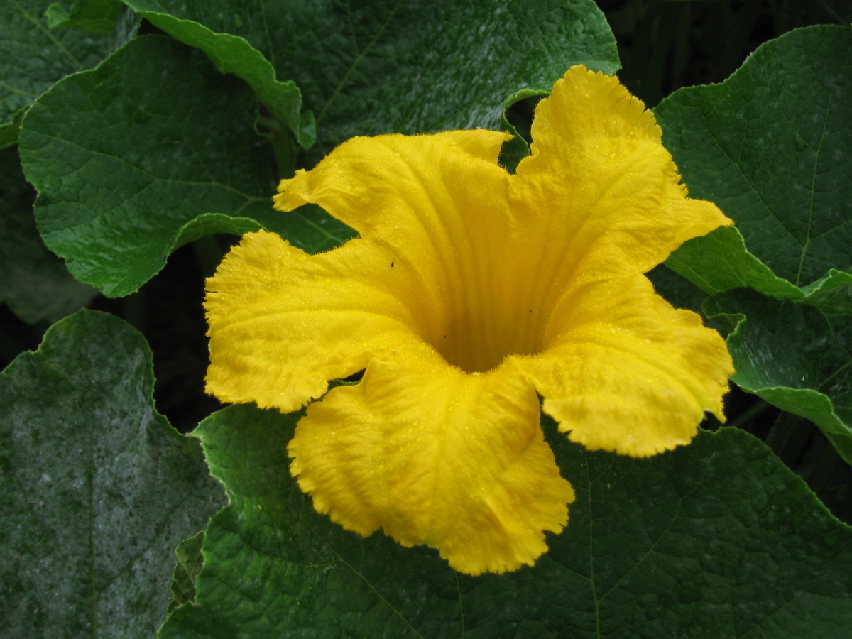 f:id:tchibineko:20191223210525j:plain f:id:tchibineko:20191223210525j:plain