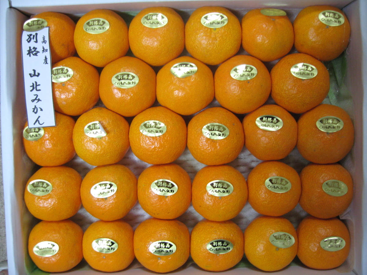 f:id:tchibineko:20191231225031j:plain f:id:tchibineko:20191231225031j:plain