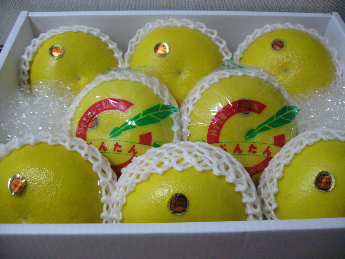 f:id:tchibineko:20200102231117j:plain f:id:tchibineko:20200102231117j:plain