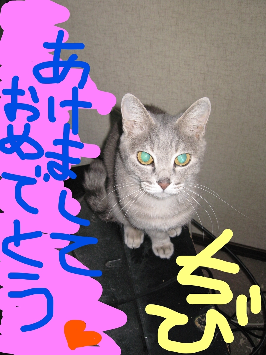 f:id:tchibineko:20200102231145j:plain f:id:tchibineko:20200102231145j:plain