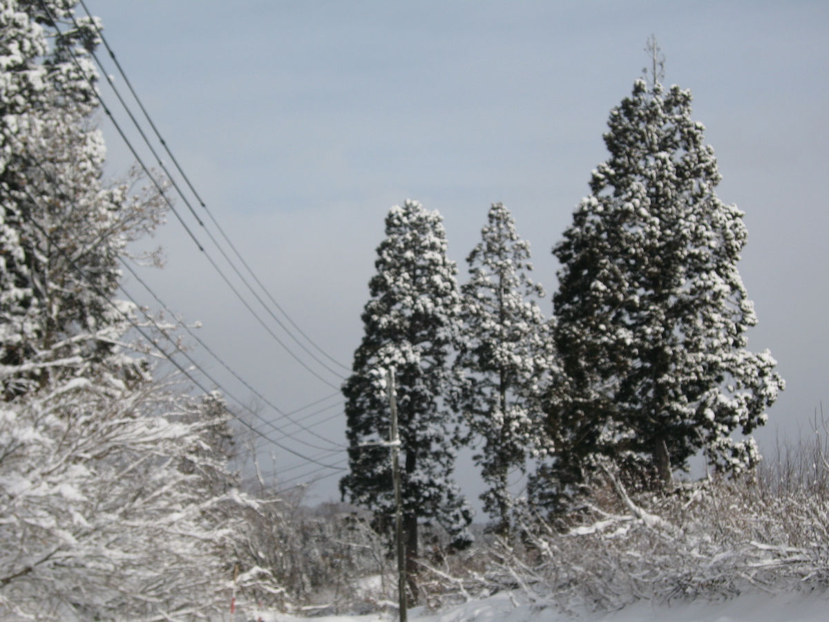 f:id:tchibineko:20200104220909j:plain f:id:tchibineko:20200104220909j:plain