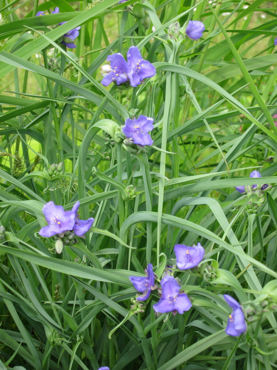 f:id:tchibineko:20200204162912j:plain f:id:tchibineko:20200204162912j:plain