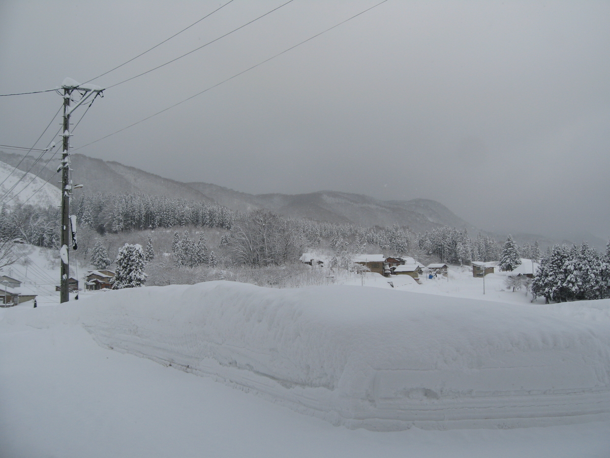 f:id:tchibineko:20200208225826j:plain f:id:tchibineko:20200208225826j:plain