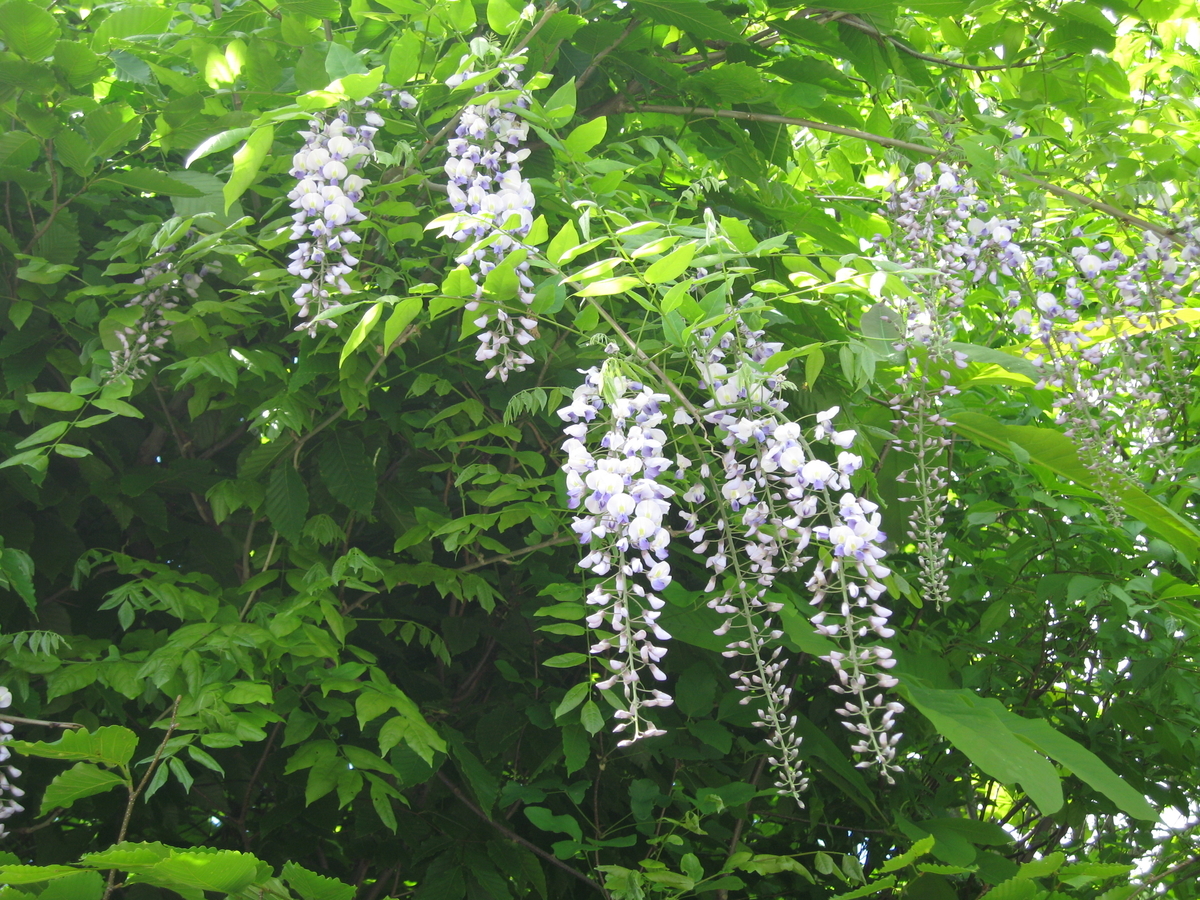 f:id:tchibineko:20200215210712j:plain f:id:tchibineko:20200215210712j:plain