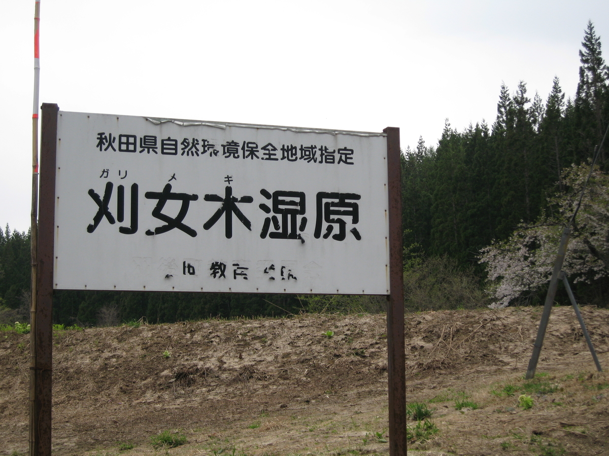 f:id:tchibineko:20200224165050j:plain