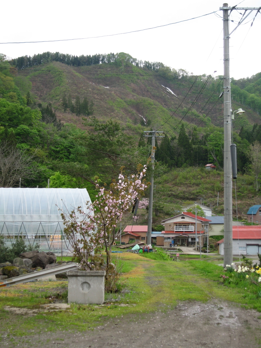 f:id:tchibineko:20200226231443j:plain