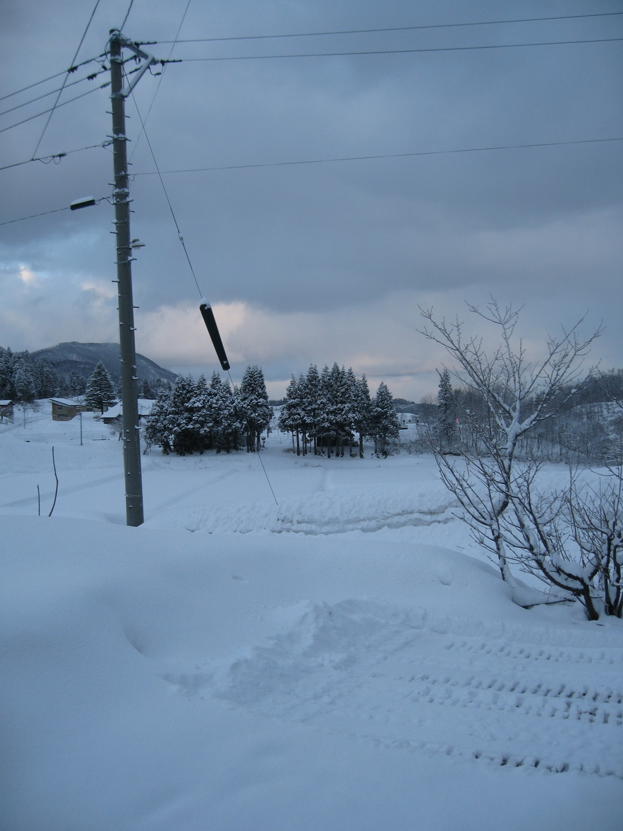 f:id:tchibineko:20200228071614j:plain f:id:tchibineko:20200228071614j:plain