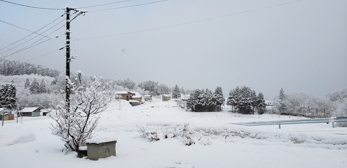 f:id:tchibineko:20200316070331j:plain