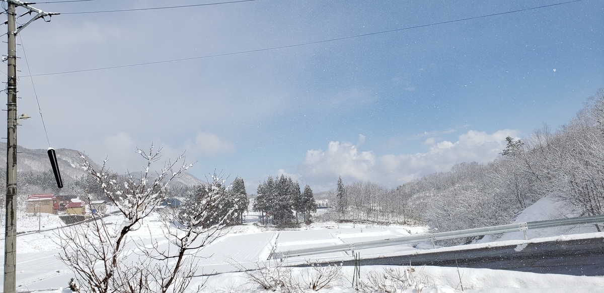f:id:tchibineko:20200324224009j:plain f:id:tchibineko:20200324224009j:plain