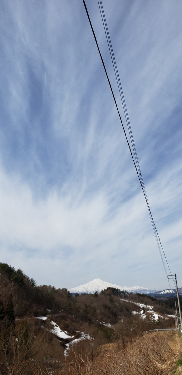 f:id:tchibineko:20200330215231j:plain f:id:tchibineko:20200330215231j:plain