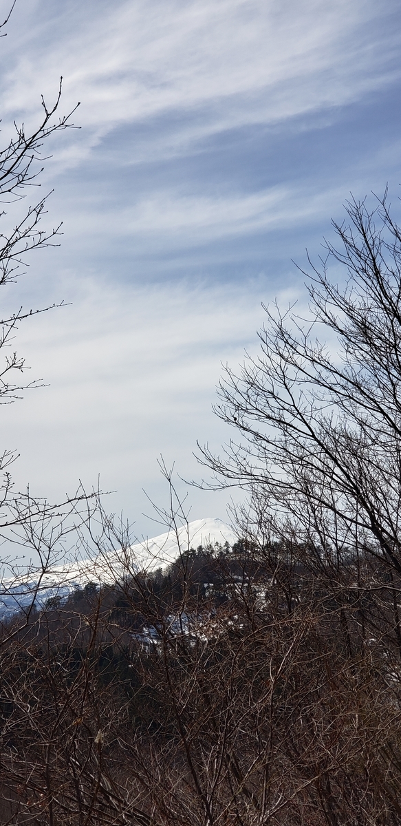 f:id:tchibineko:20200402205331j:plain f:id:tchibineko:20200402205331j:plain