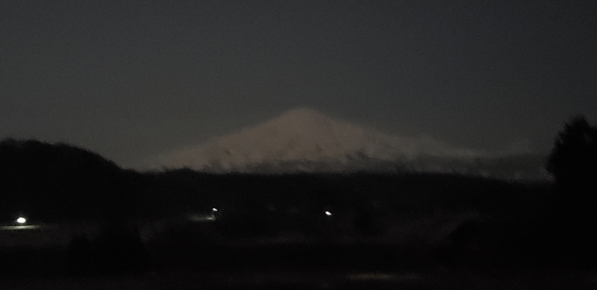 f:id:tchibineko:20200412221541j:plain