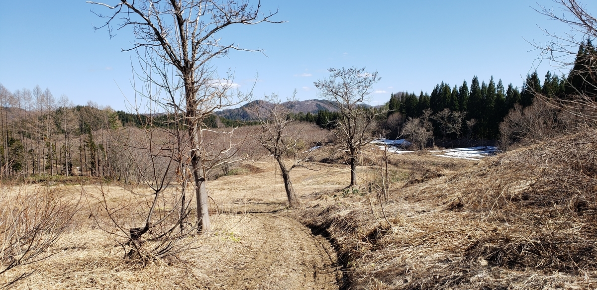 f:id:tchibineko:20200417222319j:plain f:id:tchibineko:20200417222319j:plain