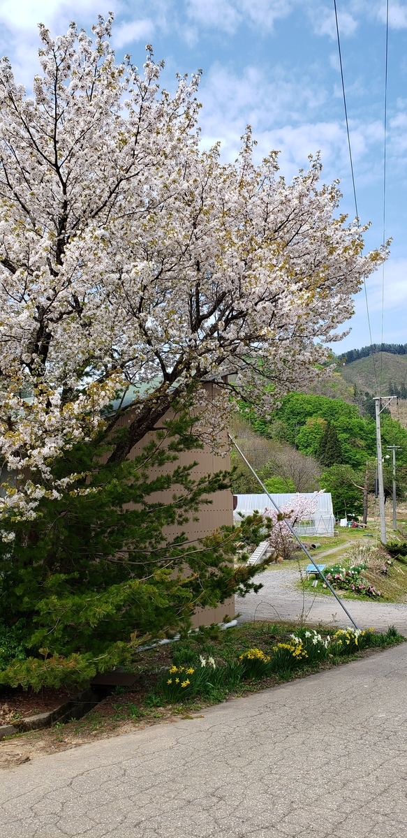 f:id:tchibineko:20200515235529j:plain f:id:tchibineko:20200515235529j:plain