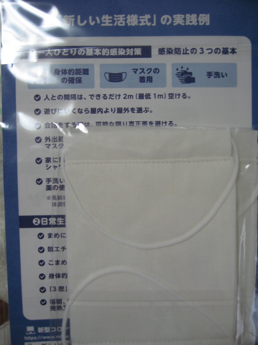 f:id:tchibineko:20200601234950j:plain f:id:tchibineko:20200601234950j:plain