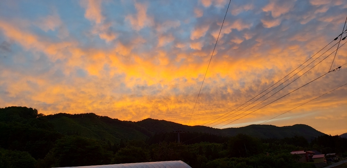f:id:tchibineko:20200622234756j:plain f:id:tchibineko:20200622234756j:plain