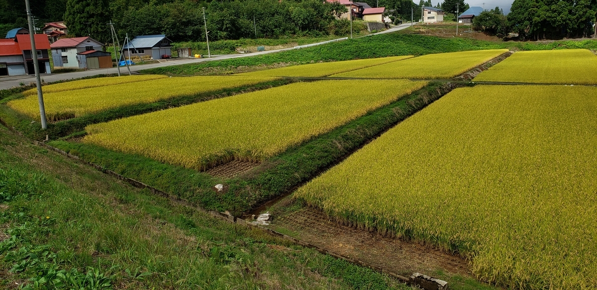 f:id:tchibineko:20200927113524j:plain f:id:tchibineko:20200927113524j:plain