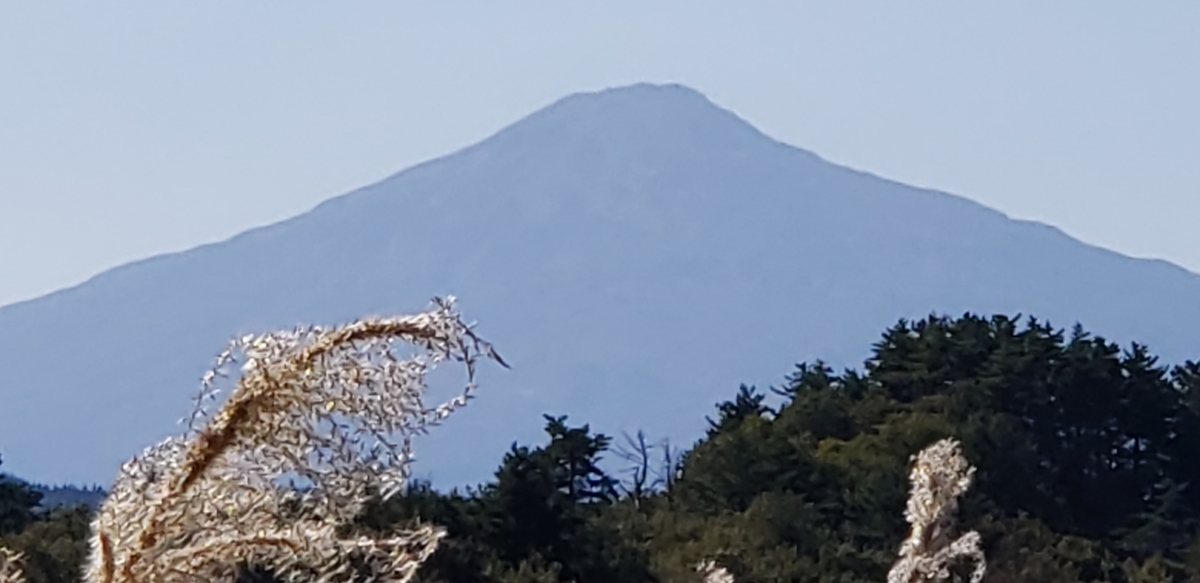 f:id:tchibineko:20201020223101j:plain f:id:tchibineko:20201020223101j:plain